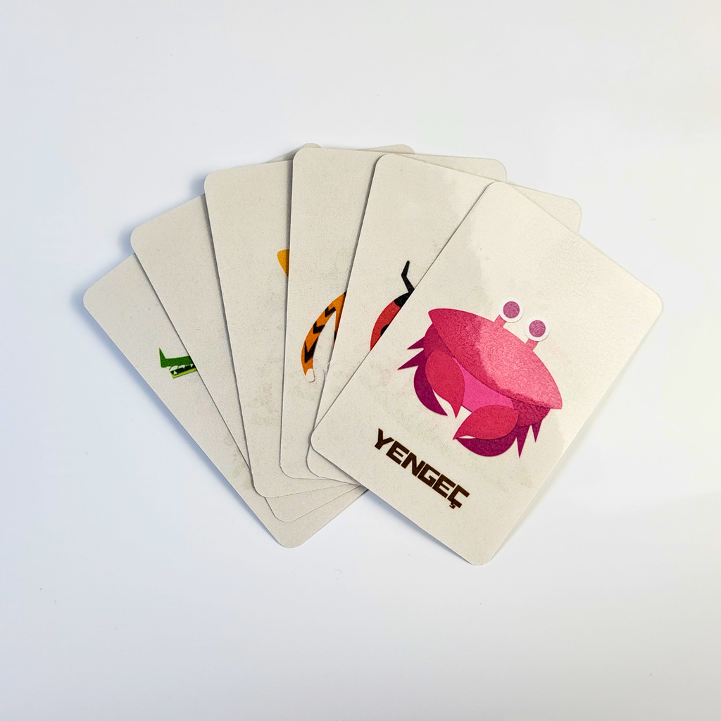 Hayvanları Öğreniyorum Kart Seti