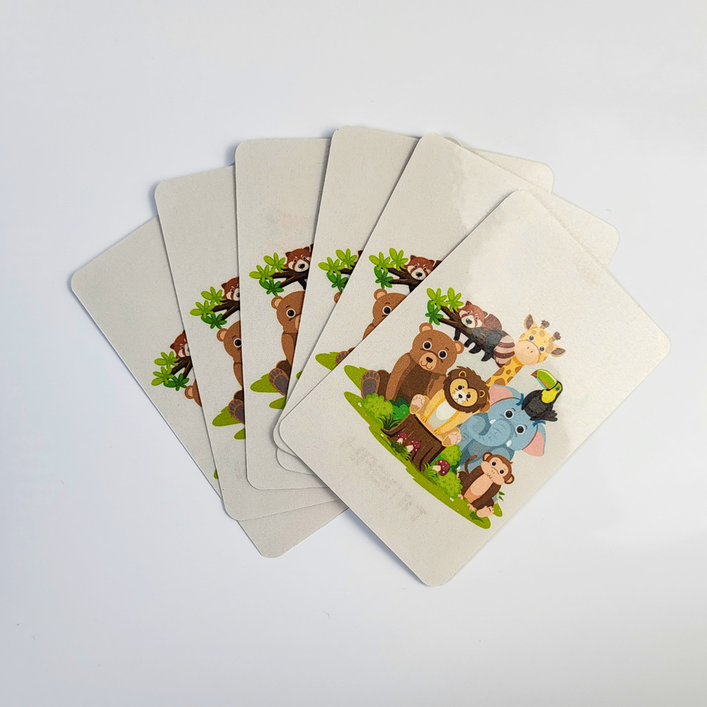 Hayvanları Öğreniyorum Kart Seti