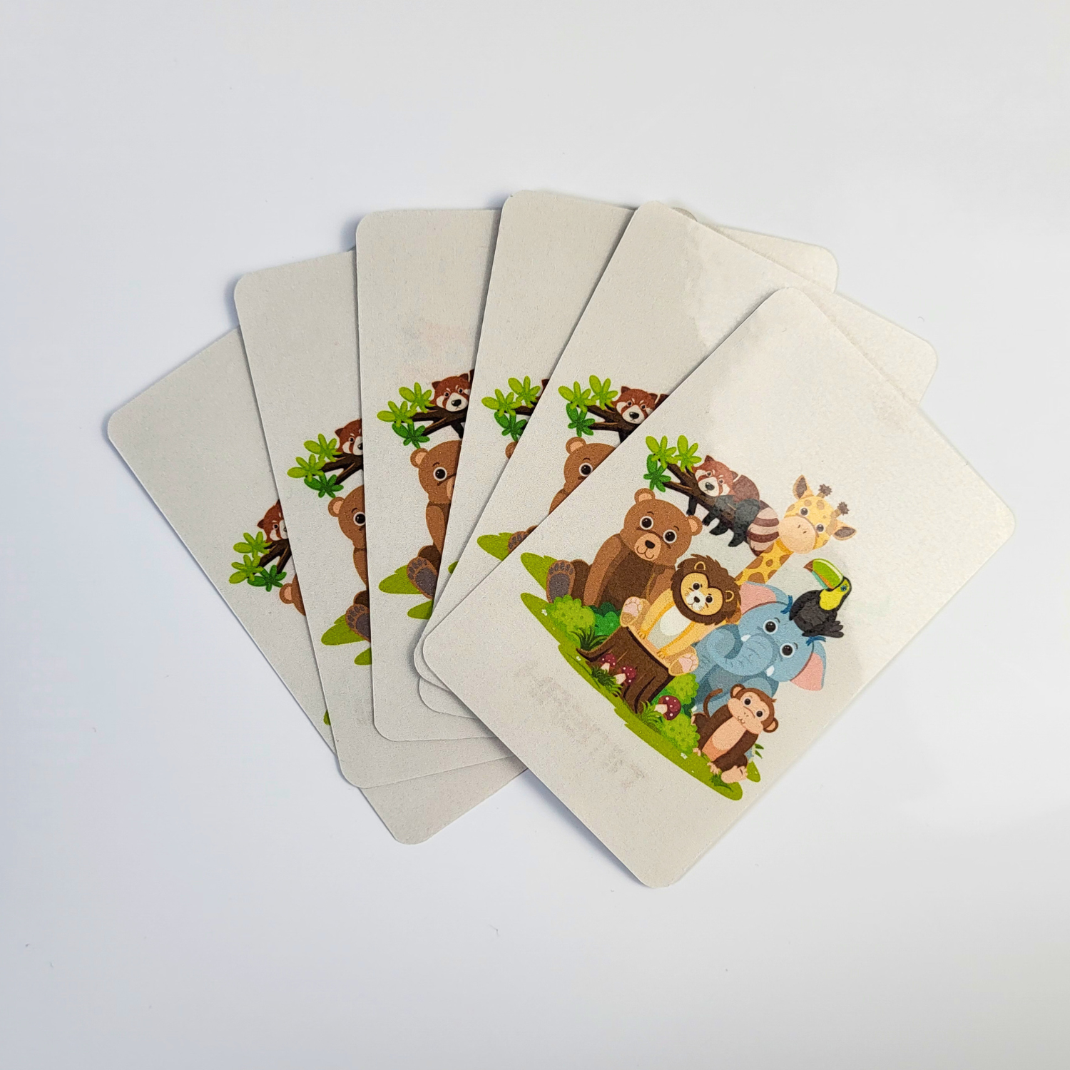 Hayvanları Öğreniyorum Kart Seti