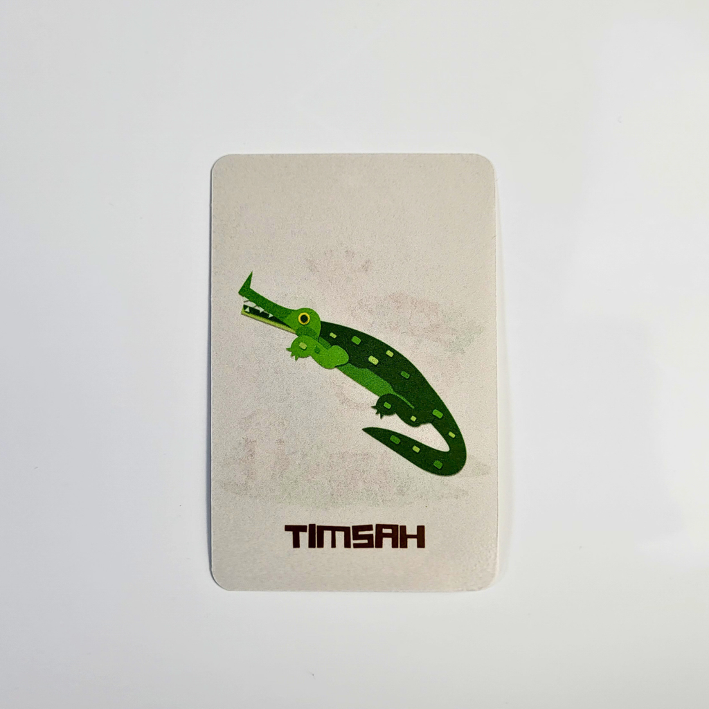 Hayvanları Öğreniyorum Kart Seti