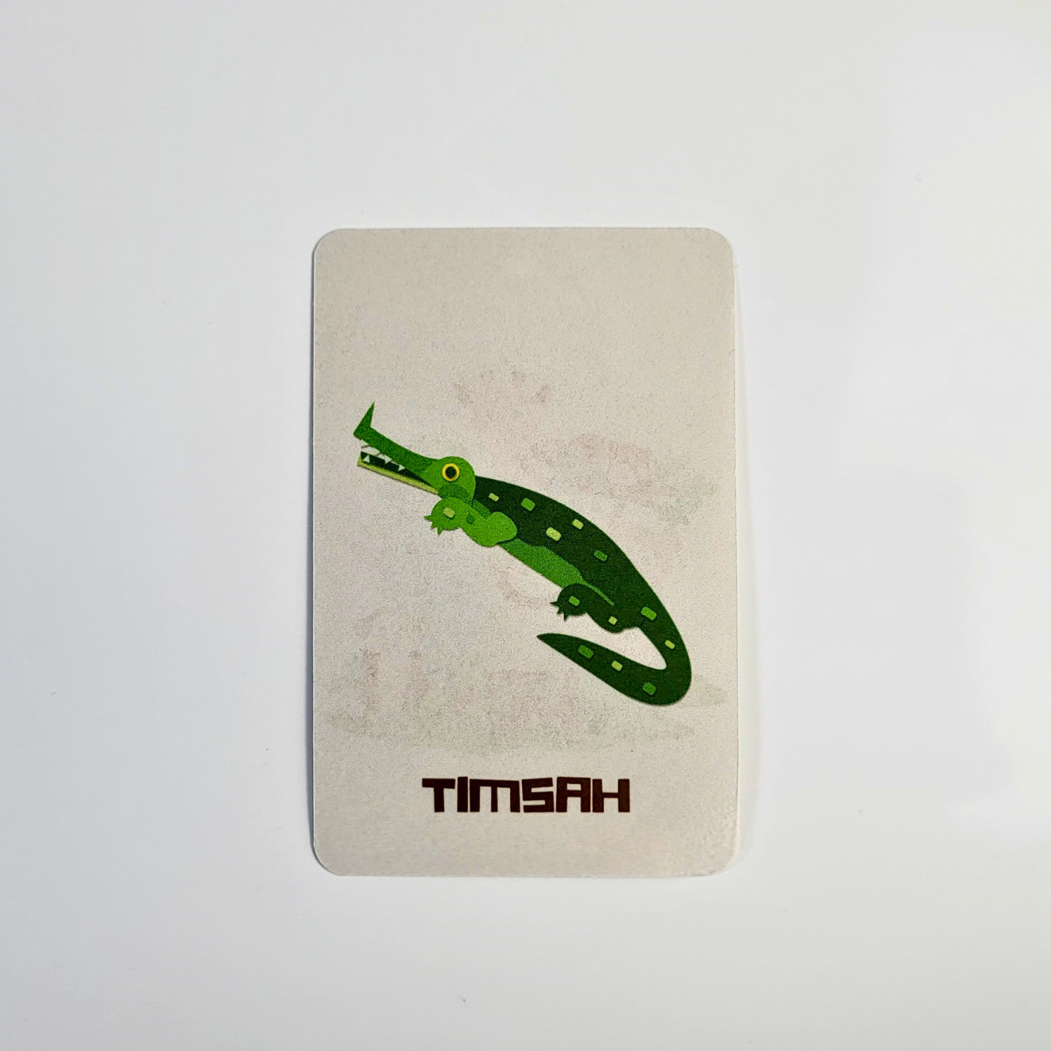 Hayvanları Öğreniyorum Kart Seti