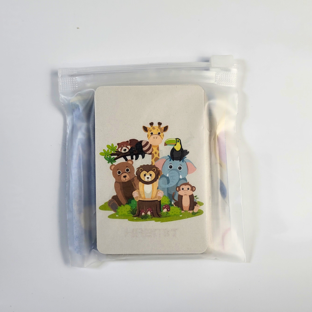 Hayvanları Öğreniyorum Kart Seti